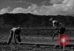 Image of Houses under construction San Juan Puerto Rico, 1950, second 37 stock footage video 65675043419