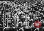 Immagine di Bomb danni in Giappone Hiroshima Giappone, 1945, secondo 14 filmato di repertorio 65675043424