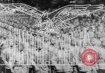 Image of Martin JRM Mars California United States USA, 1944, second 11 stock footage video 65675043427
