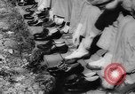 Image of Gun cotton factory World War 2 United States USA, 1945, second 17 stock footage video 65675043429