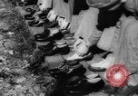 Image of Gun cotton factory World War 2 United States USA, 1945, second 18 stock footage video 65675043429