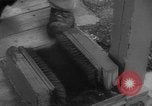 Image of Gun cotton factory World War 2 United States USA, 1945, second 20 stock footage video 65675043429