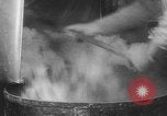 Image of Gun cotton factory World War 2 United States USA, 1945, second 24 stock footage video 65675043429