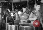 Image of Gun cotton factory World War 2 United States USA, 1945, second 27 stock footage video 65675043429