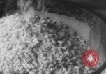Image of Gun cotton factory World War 2 United States USA, 1945, second 44 stock footage video 65675043429