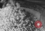 Image of Gun cotton factory World War 2 United States USA, 1945, second 45 stock footage video 65675043429