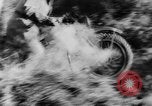 Image of Canadian Dispatch riders Canada, 1944, second 36 stock footage video 65675043430