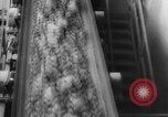 Image of Copper mine Chile, 1944, second 29 stock footage video 65675043435