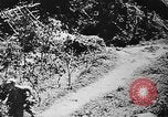Standbild Amerikanische Soldaten und Marineinfanteristen kämpfen in Okinawa gegen japanische Streitkräfte Okinawa Ryukyu Inseln, 1945, aus Sekunde 55 historischem Filmmaterial Videoclip 65675043441