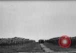 Image of Canadian Prime Minister Mackenzie King United Kingdom, 1945, second 35 stock footage video 65675043442