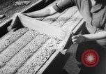 Standbild neue Häuser gebaut Europa, 1945, aus Sekunde 59 historischem Filmmaterial Videoclip 65675043443