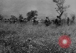Immagine di Truppe alleate Cassino in Italia, 1945, secondo 19 filmato di repertorio 65675043445