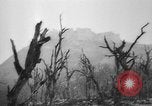 Immagine di Truppe alleate Cassino in Italia, 1945, secondo 58 filmato di repertorio 65675043445