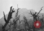 Immagine di Truppe alleate Cassino in Italia, 1945, secondo 59 filmato di repertorio 65675043445