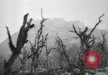Immagine di Truppe alleate Cassino in Italia, 1945, secondo 60 filmato di repertorio 65675043445