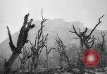Immagine di Truppe alleate Cassino in Italia, 1945, secondo 61 filmato di repertorio 65675043445