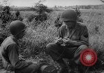 Image of 5th Army and 8th Army Italy, 1945, second 38 stock footage video 65675043446