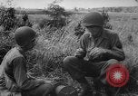 Image of 5th Army and 8th Army Italy, 1945, second 40 stock footage video 65675043446