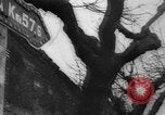Image of 5th Army and 8th Army Italy, 1945, second 58 stock footage video 65675043446