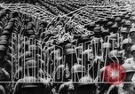 Image of South African troops Florence Italy, 1945, second 13 stock footage video 65675043447