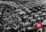 Image of South African troops Florence Italy, 1945, second 14 stock footage video 65675043447