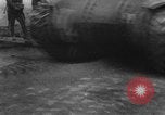 Image of British and Canadian forces Normandy France, 1944, second 32 stock footage video 65675043449