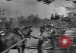 Image of King George VI Florence Italy, 1944, second 41 stock footage video 65675043451