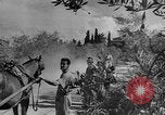 Image of King George VI Florence Italy, 1944, second 42 stock footage video 65675043451