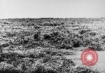 Image of Italian troops Italy, 1943, second 8 stock footage video 65675043456