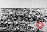 Image of Italian troops Italy, 1943, second 11 stock footage video 65675043456