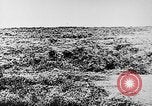 Image of Italian troops Italy, 1943, second 12 stock footage video 65675043456