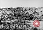 Image of Italian troops Italy, 1943, second 16 stock footage video 65675043456