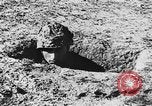 Image of Italian troops Italy, 1943, second 30 stock footage video 65675043456