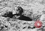Image of Italian troops Italy, 1943, second 31 stock footage video 65675043456