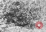 Image of Italian troops Italy, 1943, second 33 stock footage video 65675043456