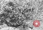 Image of Italian troops Italy, 1943, second 34 stock footage video 65675043456