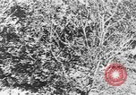 Image of Italian troops Italy, 1943, second 35 stock footage video 65675043456