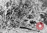 Image of Italian troops Italy, 1943, second 38 stock footage video 65675043456