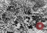 Image of Italian troops Italy, 1943, second 40 stock footage video 65675043456