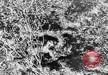 Image of Italian troops Italy, 1943, second 42 stock footage video 65675043456