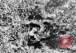 Image of Italian troops Italy, 1943, second 43 stock footage video 65675043456