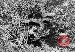 Image of Italian troops Italy, 1943, second 44 stock footage video 65675043456