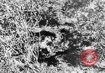 Image of Italian troops Italy, 1943, second 45 stock footage video 65675043456
