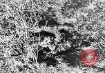Image of Italian troops Italy, 1943, second 46 stock footage video 65675043456