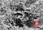Image of Italian troops Italy, 1943, second 47 stock footage video 65675043456