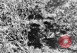 Image of Italian troops Italy, 1943, second 48 stock footage video 65675043456
