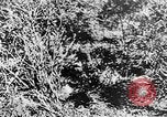 Image of Italian troops Italy, 1943, second 49 stock footage video 65675043456
