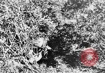 Image of Italian troops Italy, 1943, second 50 stock footage video 65675043456