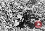 Image of Italian troops Italy, 1943, second 52 stock footage video 65675043456