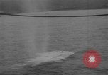 Standbild Vereinigten Staaten Truppen Oran Algerien, 1943, aus Sekunde 41 historischem Filmmaterial Videoclip 65675043458